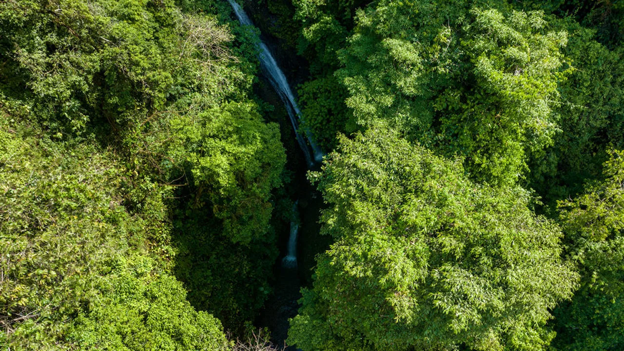 PORTALON PROPERTY – DEVELOPMENT POTENCIAL WITH OCEAN VIEWS AND WATERFALLS – 238 ACRES