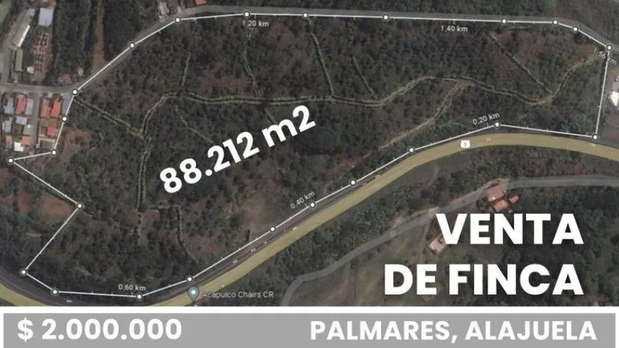 SE VENDE FINCA EN LIMÓN, TORTUGUERO APTA PARA OXIGENO - 1086 HECTÁREAS - Venta en Pococí, photo 4