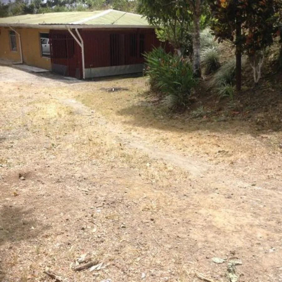 Venta de Lote en San Ramón, Alajuela. - Venta en San Ramón
