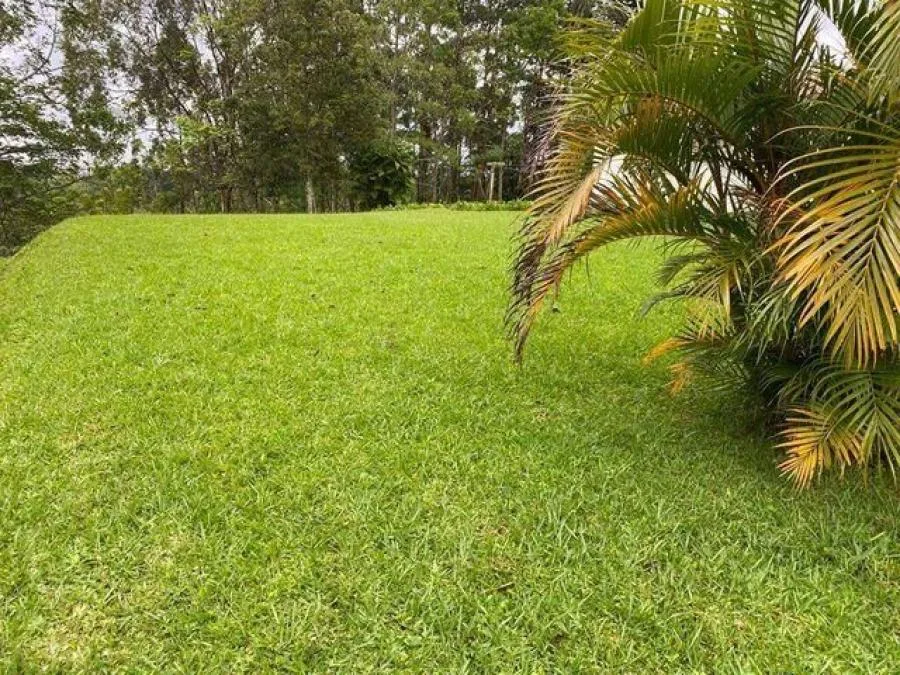 Lote de 2.700 m2 en excelente ubicación en el Carmen de Guadalupe RAH 23677 - Venta en Goicoechea, photo 4