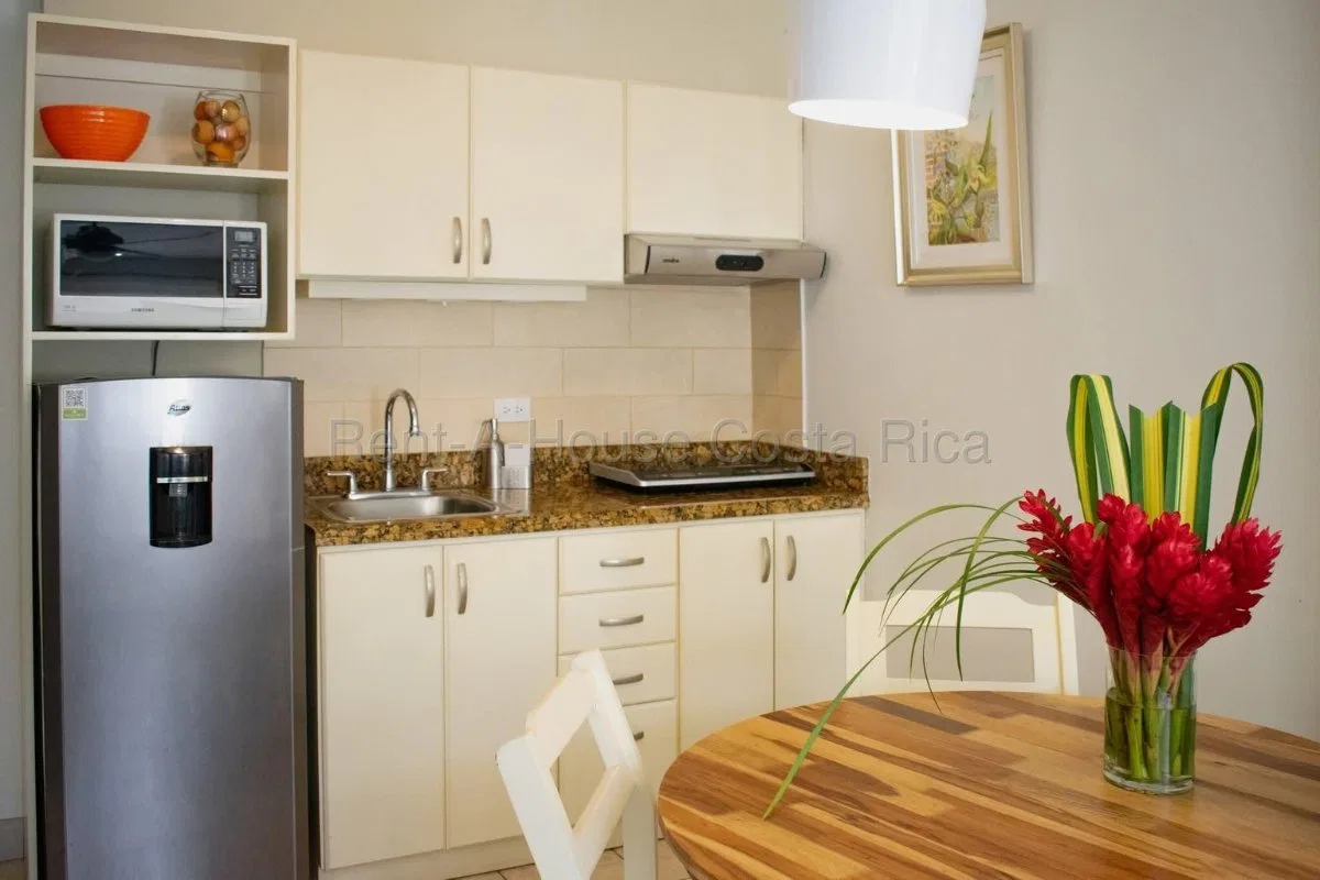 Alquiler apartamento amueblado 2 hab cerca parque y servicios #26-507 GS - Alquiler / Renta en San José