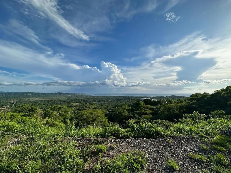 Land For Sale in Playa Grande, photo 2