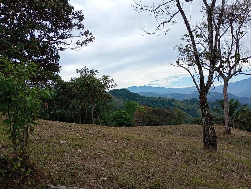 Venta de Lote en Puriscal-Mercedes Sur. RAH 26-2194 - Venta en Puriscal, photo 5