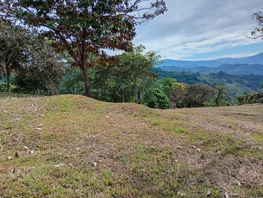 Venta de Lote en Puriscal-Mercedes Sur. RAH 26-2194 - Venta en Puriscal, photo 8