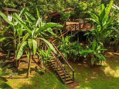 PROPERTY WITH A PRINCIPAL HOUSE AND GUEST HOUSE IN THE MIDDLE OF THE JUNGLE, IN OJOCHAL – 3 ACRES, photo 26