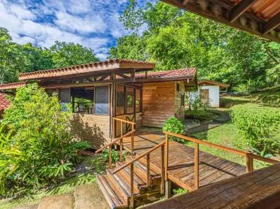PROPERTY WITH A PRINCIPAL HOUSE AND GUEST HOUSE IN THE MIDDLE OF THE JUNGLE, IN OJOCHAL – 3 ACRES, photo 29
