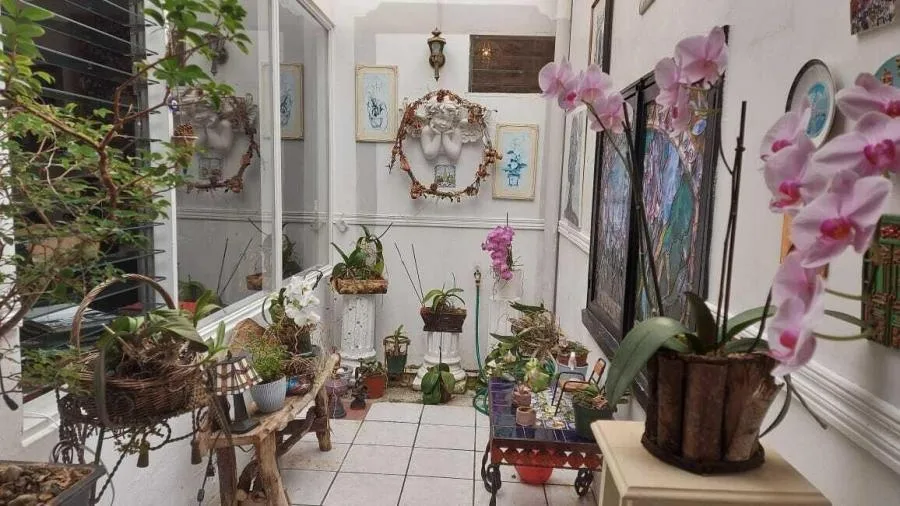 Se Vende Cómoda Casa en Los Yoses, Montes de Oca / OFC Mls. 25-613 - Venta en Montes de Oca, photo 13