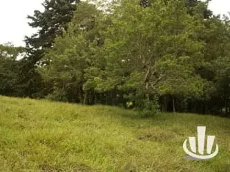 Finca for sale San Isidro Heredia, photo 11