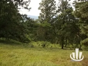 Finca for sale San Isidro Heredia, photo 12