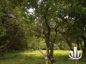Finca for sale San Isidro Heredia, photo 3
