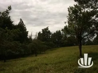 Finca for sale San Isidro Heredia, photo 4