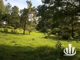 Finca for sale San Isidro Heredia, photo 6