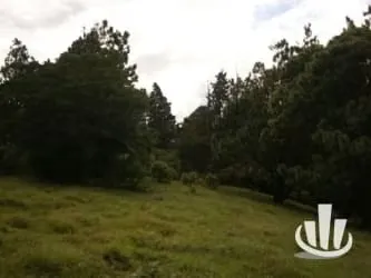 Finca for sale San Isidro Heredia, photo 7