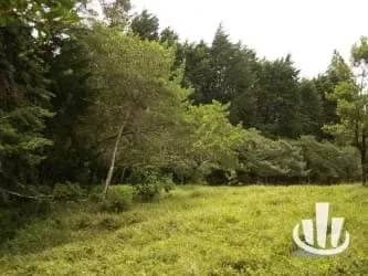 Finca for sale San Isidro Heredia, photo 9