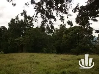 Finca for sale San Isidro Heredia, photo 10