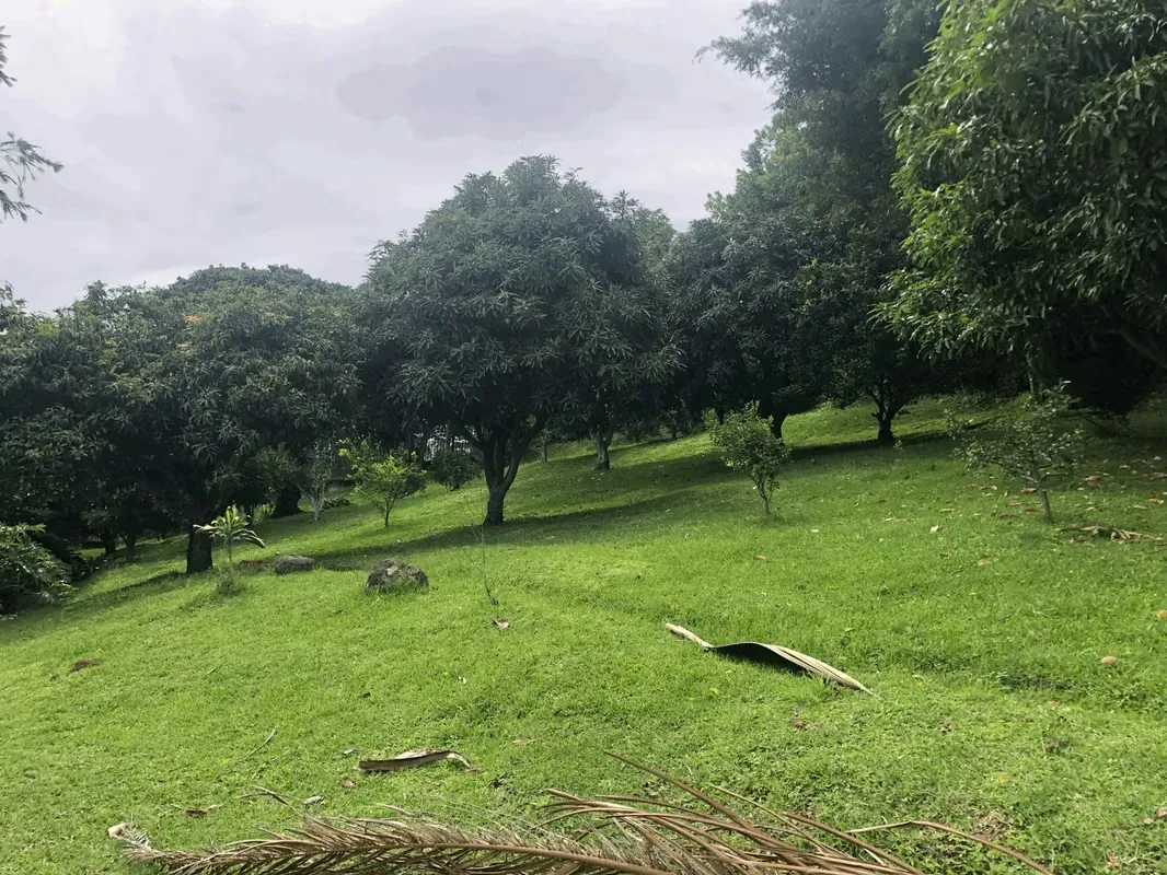 Lot for sale in Colinas de Montealegre, photo 2