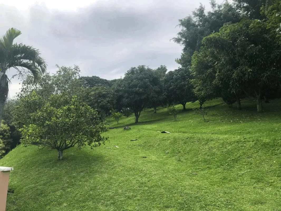 Lot for sale in Colinas de Montealegre, photo 3