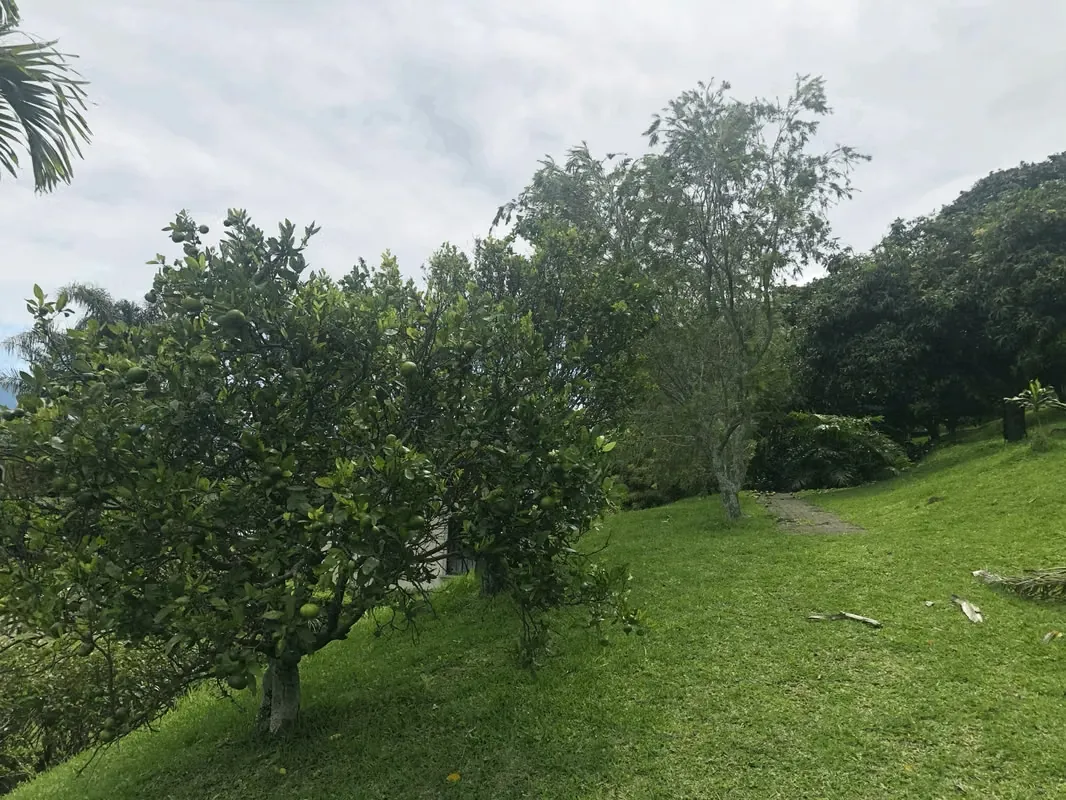 Lot for sale in Colinas de Montealegre, photo 4