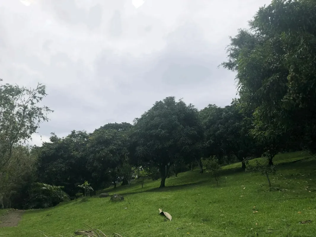 Lot for sale in Colinas de Montealegre, photo 5