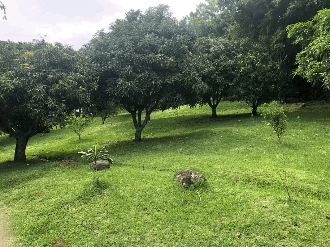 Lot for sale in Colinas de Montealegre, photo 6
