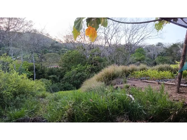 Exclusive lot for sale in Hojancha's green, tropical, rolling mountains, just 3 minutes from town, photo 6