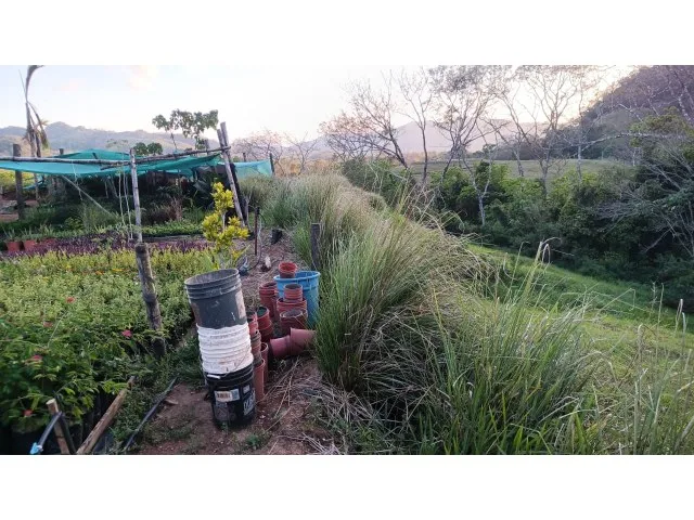 Exclusive lot for sale in Hojancha's green, tropical, rolling mountains, just 3 minutes from town, photo 7