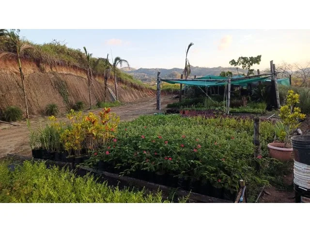Exclusive lot for sale in Hojancha's green, tropical, rolling mountains, just 3 minutes from town, photo 8