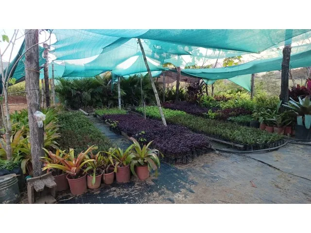 Exclusive lot for sale in Hojancha's green, tropical, rolling mountains, just 3 minutes from town, photo 9