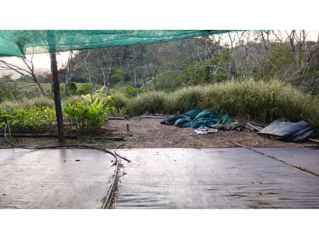 Exclusive lot for sale in Hojancha's green, tropical, rolling mountains, just 3 minutes from town, photo 10