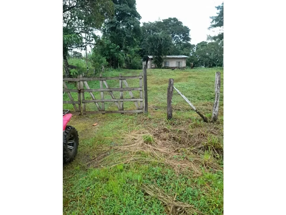 Finca en Venta en Upala | 7 Hectáreas Planas Producción de Piña