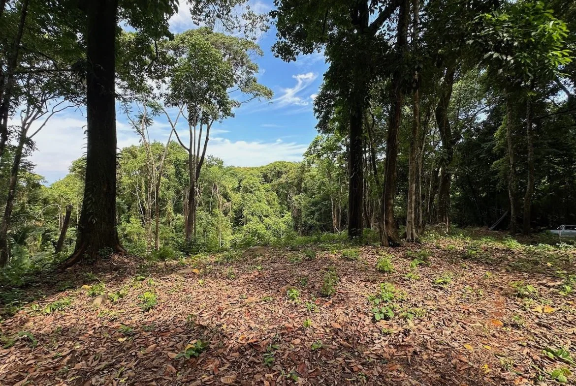 BUILDING PROPERTY WITH CREEK AND MOUNTAIN VIEWS, IN DOMINICAL – 8.8 ACRES, photo 2