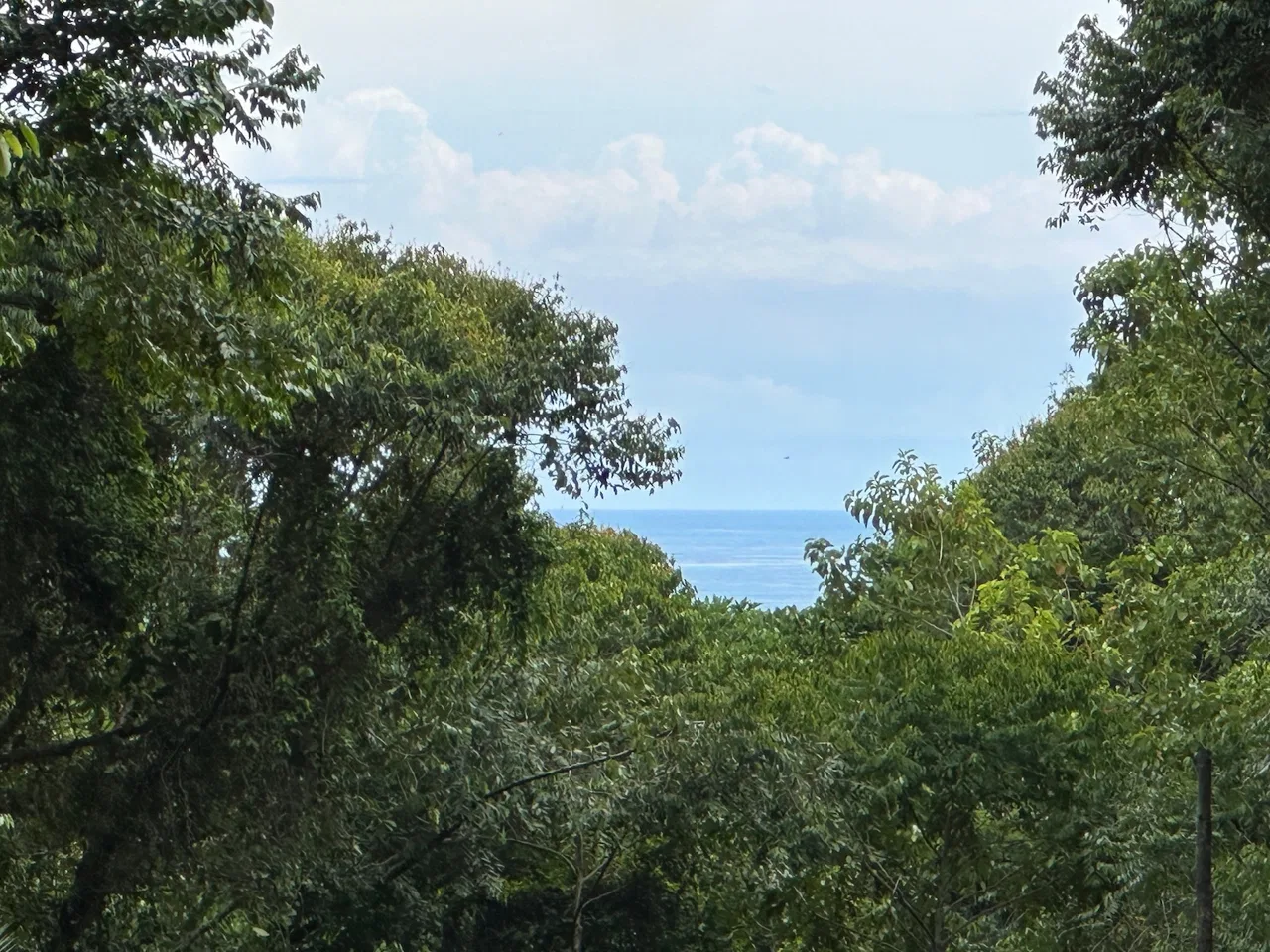 BUILDING PROPERTY WITH CREEK AND MOUNTAIN VIEWS, IN DOMINICAL – 8.8 ACRES, photo 11