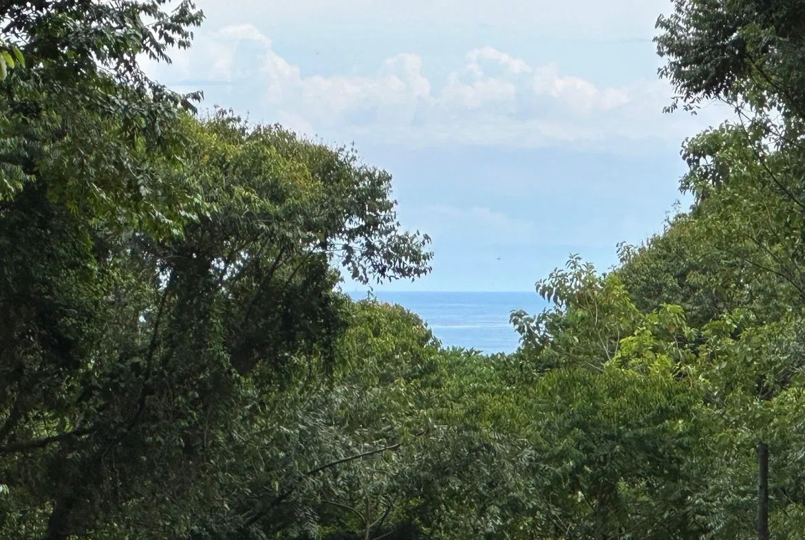 BUILDING PROPERTY WITH CREEK AND MOUNTAIN VIEWS, IN DOMINICAL – 8.8 ACRES, photo 12