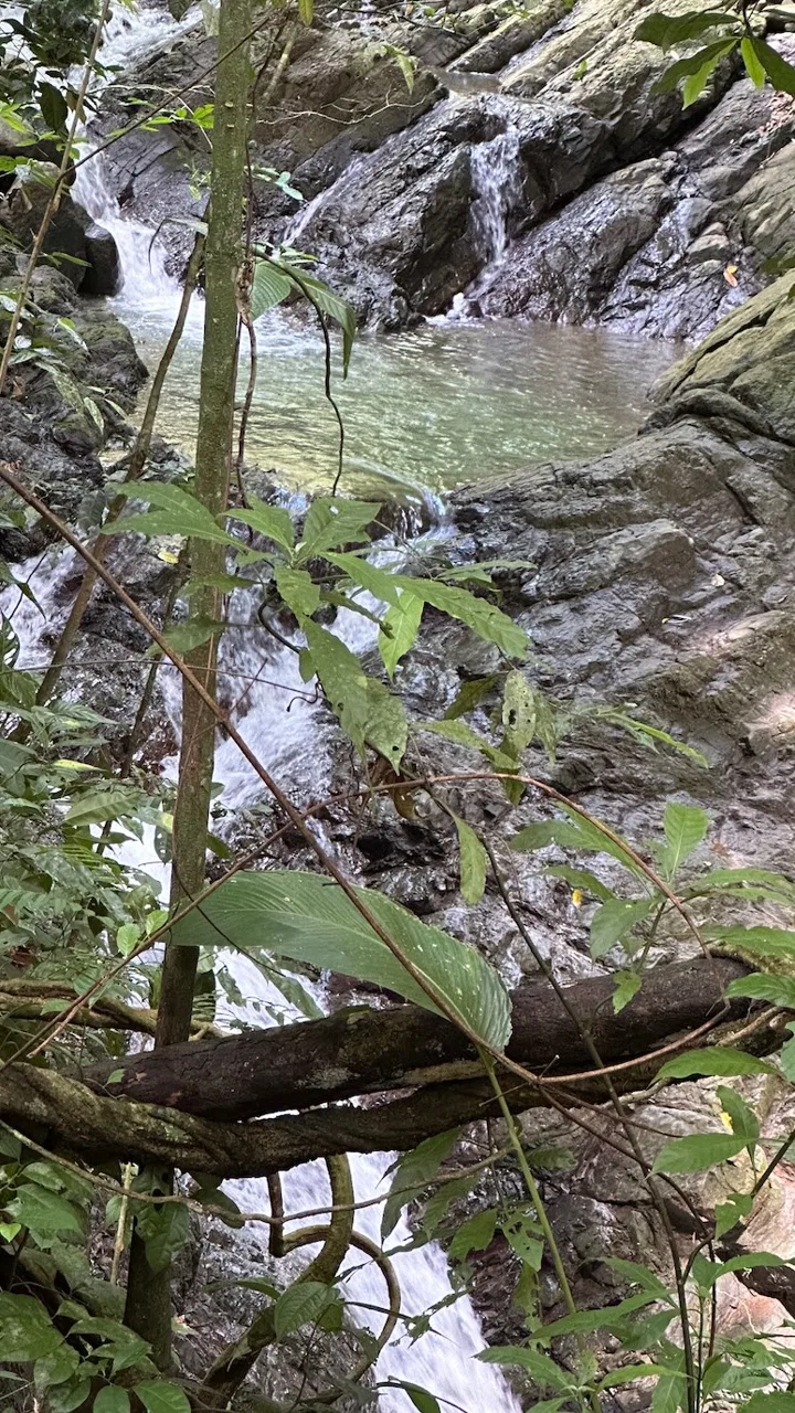 BUILDING PROPERTY WITH CREEK AND MOUNTAIN VIEWS, IN DOMINICAL – 8.8 ACRES, photo 13