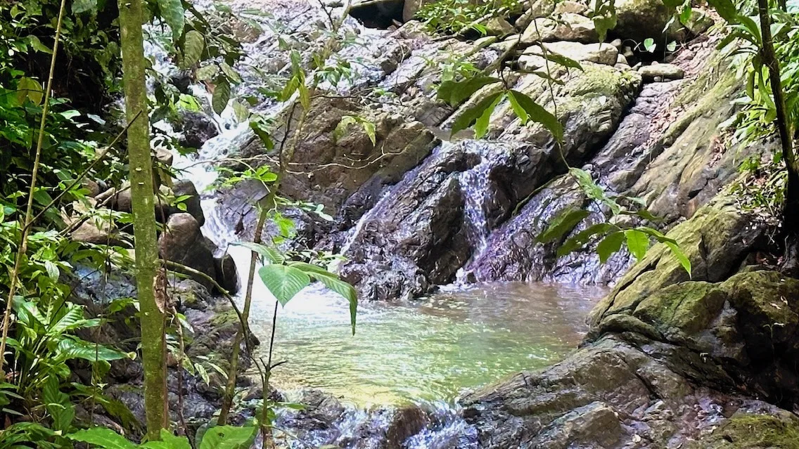 BUILDING PROPERTY WITH CREEK AND MOUNTAIN VIEWS, IN DOMINICAL – 8.8 ACRES, photo 15