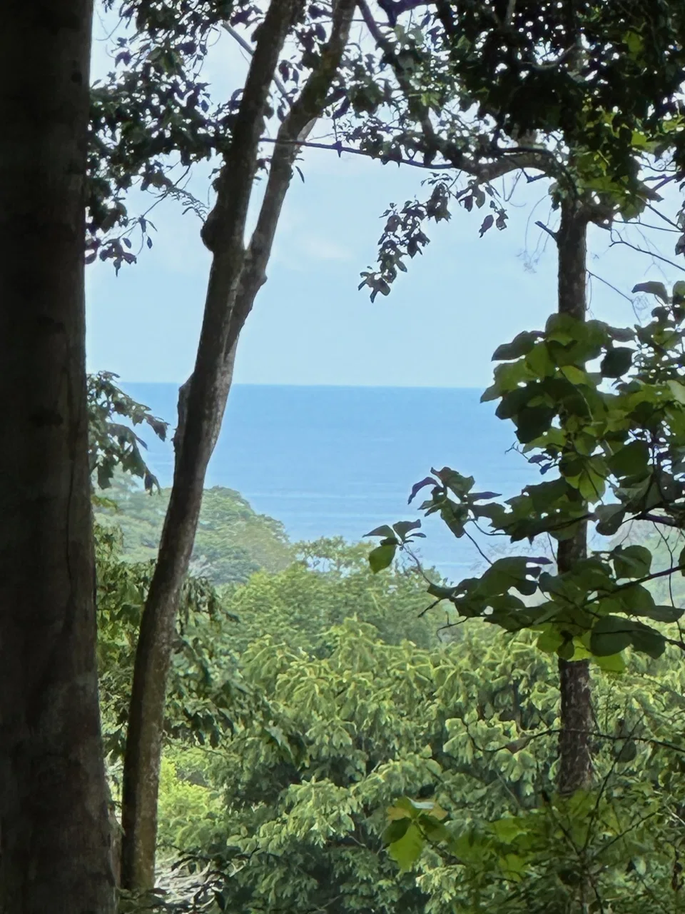 BUILDING PROPERTY WITH CREEK AND MOUNTAIN VIEWS, IN DOMINICAL – 8.8 ACRES, photo 7