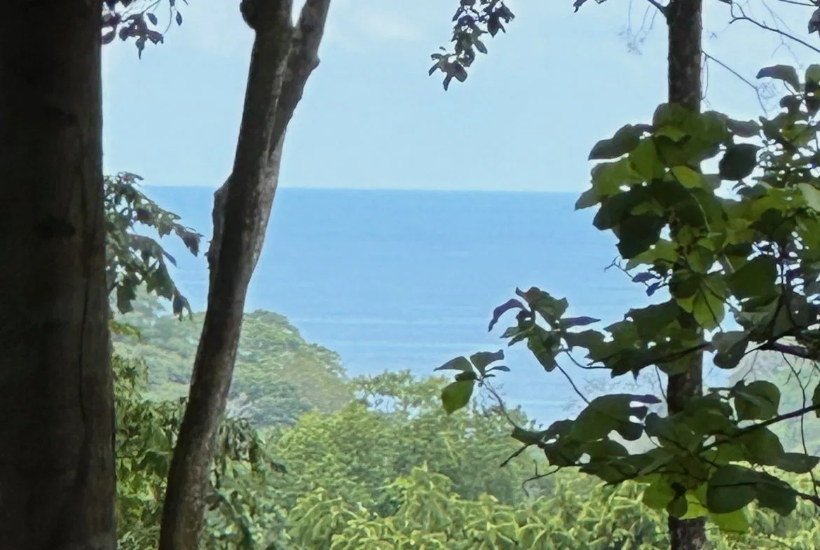 BUILDING PROPERTY WITH CREEK AND MOUNTAIN VIEWS, IN DOMINICAL – 8.8 ACRES, photo 8