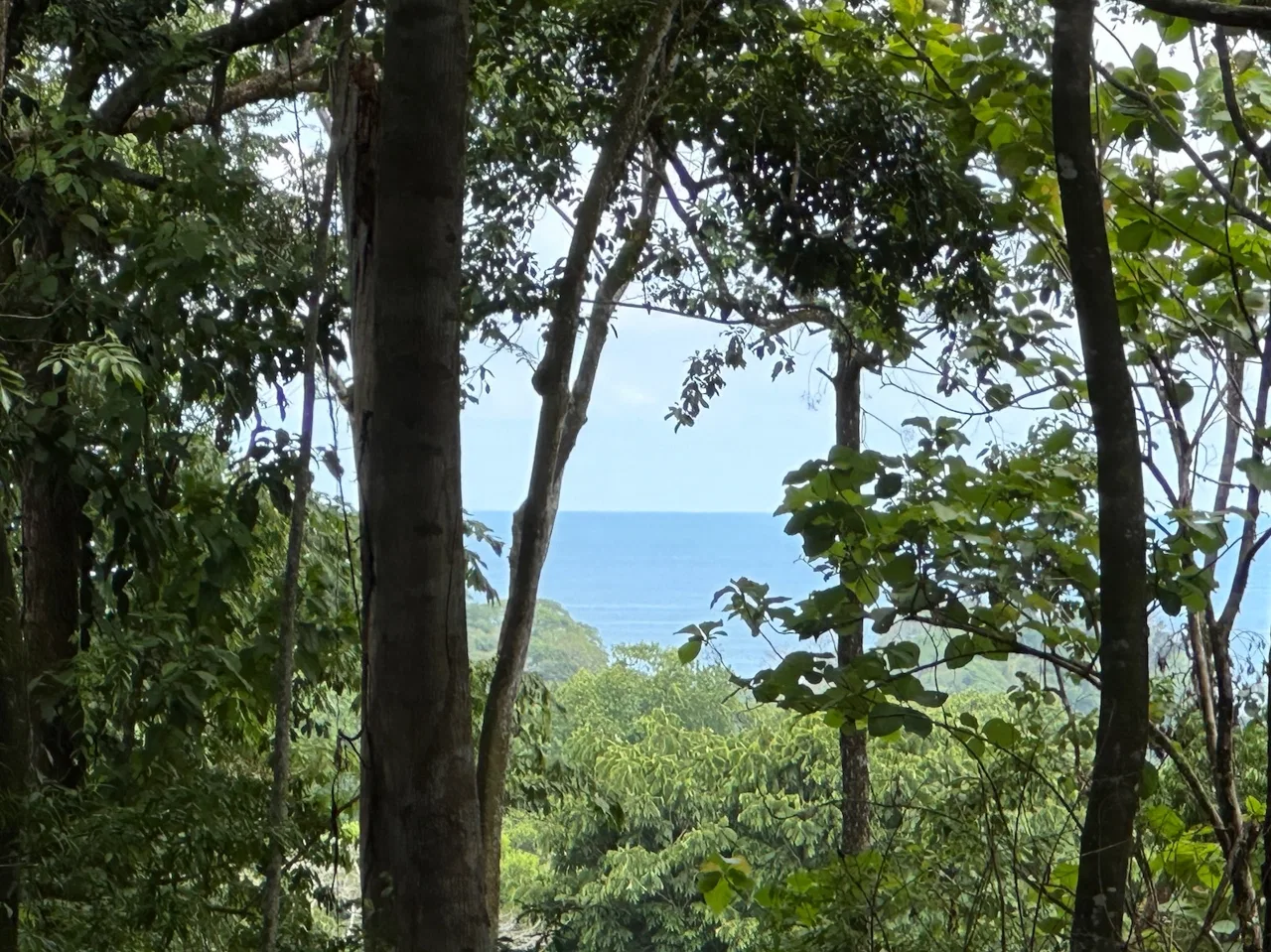 BUILDING PROPERTY WITH CREEK AND MOUNTAIN VIEWS, IN DOMINICAL – 8.8 ACRES, photo 9