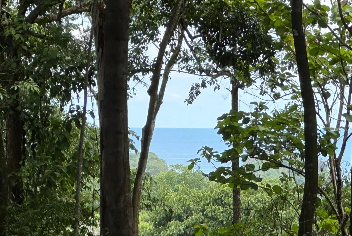 BUILDING PROPERTY WITH CREEK AND MOUNTAIN VIEWS, IN DOMINICAL – 8.8 ACRES, photo 10