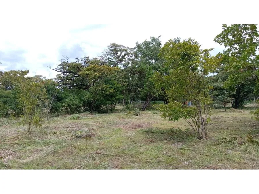 Lote en Venta, Guanacaste, Liberia, Cañas Dulces 5PDN9630579
