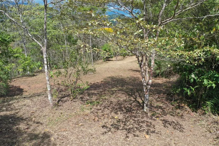 Elevated Two and a Half Acres with Cool Breeze in San Isidro del General, photo 2