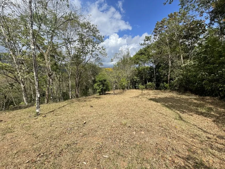 Elevated Two and a Half Acres with Cool Breeze in San Isidro del General, photo 11