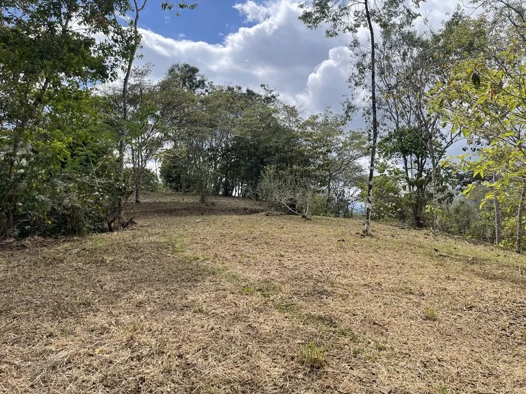 Elevated Two and a Half Acres with Cool Breeze in San Isidro del General, photo 12