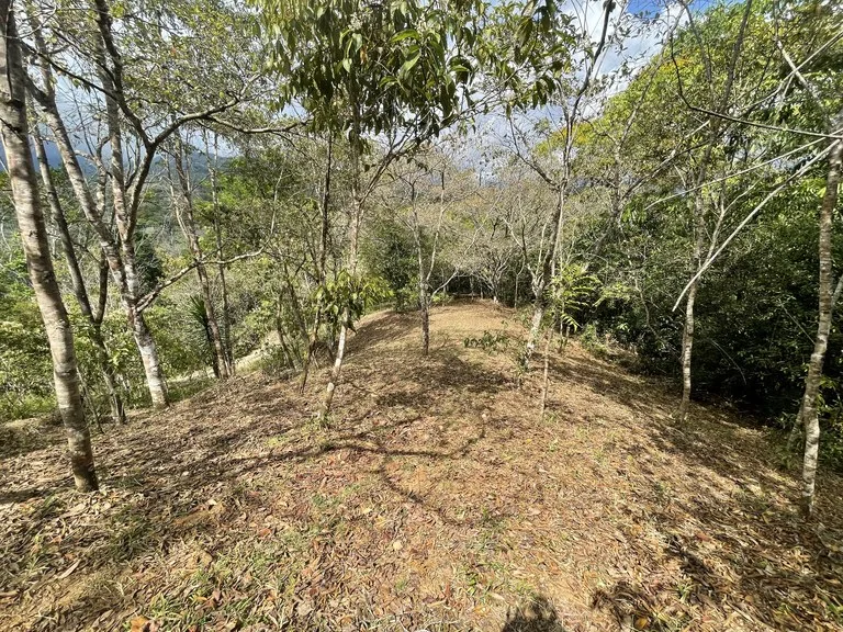 Elevated Two and a Half Acres with Cool Breeze in San Isidro del General, photo 14