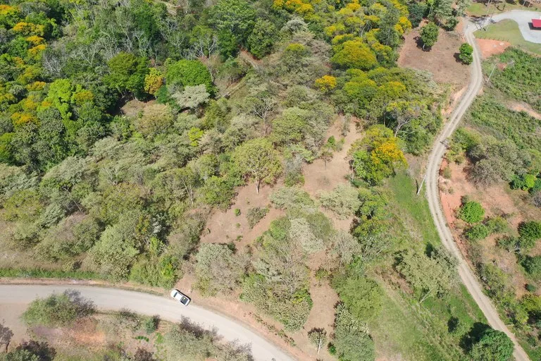 Elevated Two and a Half Acres with Cool Breeze in San Isidro del General, photo 15