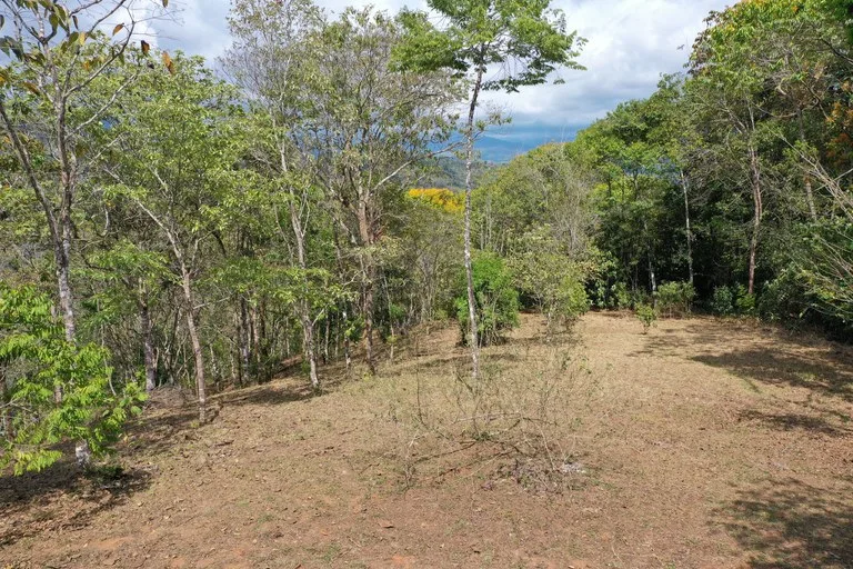 Elevated Two and a Half Acres with Cool Breeze in San Isidro del General, photo 3