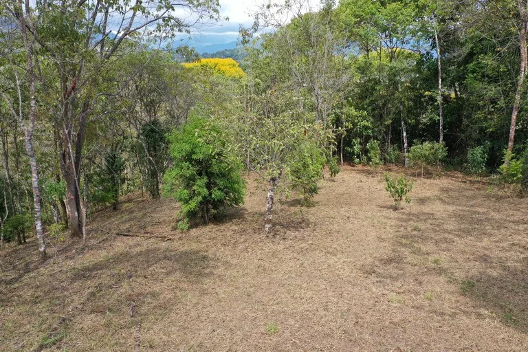 Elevated Two and a Half Acres with Cool Breeze in San Isidro del General, photo 4