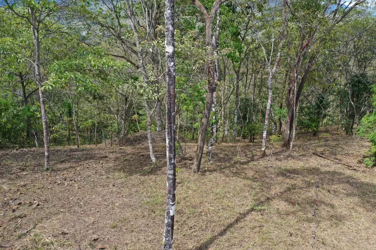 Elevated Two and a Half Acres with Cool Breeze in San Isidro del General, photo 5