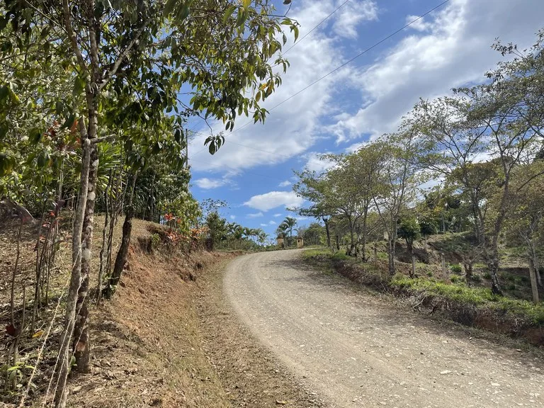 Elevated Two and a Half Acres with Cool Breeze in San Isidro del General, photo 6