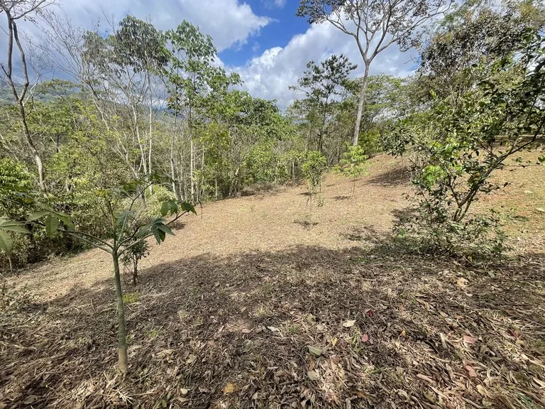 Elevated Two and a Half Acres with Cool Breeze in San Isidro del General, photo 8